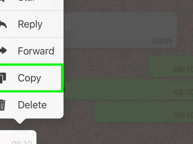 WhatsApp双灰色对话框的含义